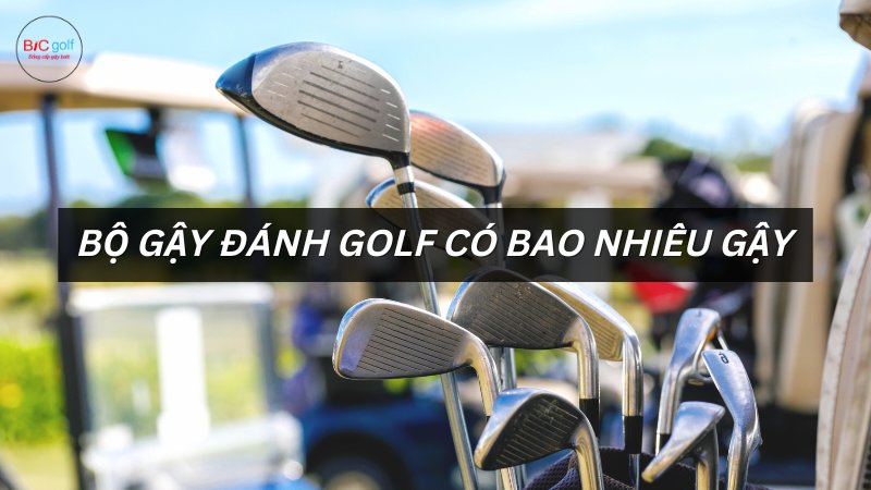 bộ gậy đánh golf có bao nhiêu gậy