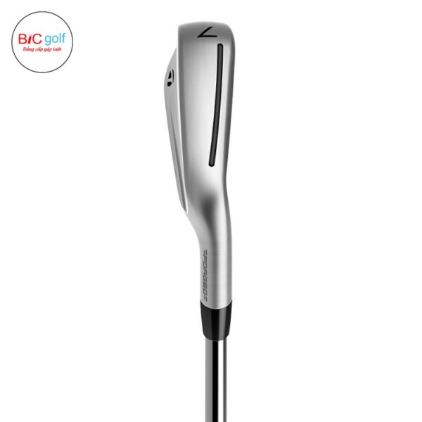 bộ gậy sắt P790 TaylorMade