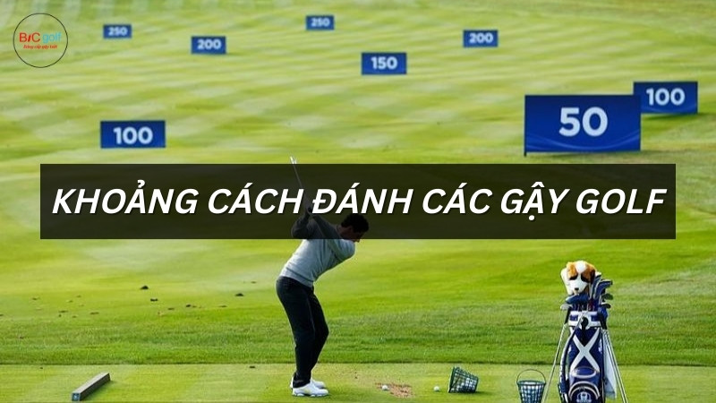 Khoảng Cách Đánh Các Gậy Golf Tiêu Chuẩn