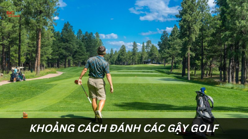 Khoảng cách đánh của các loại gậy golf