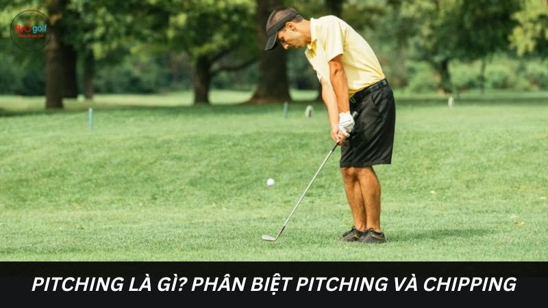Phân biệt pitching và chipping trong golf