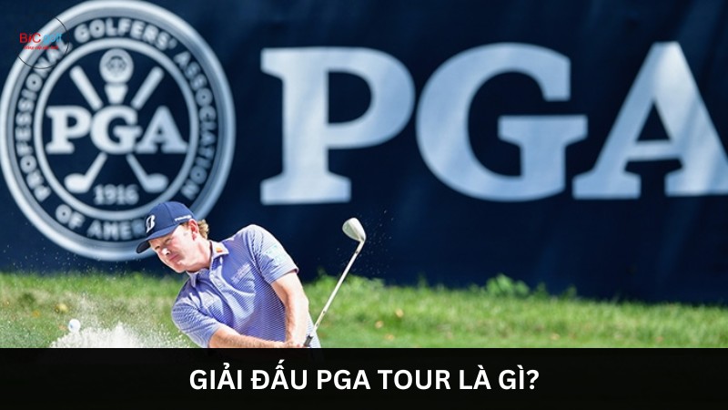 giải đấu PGA Tour là gì