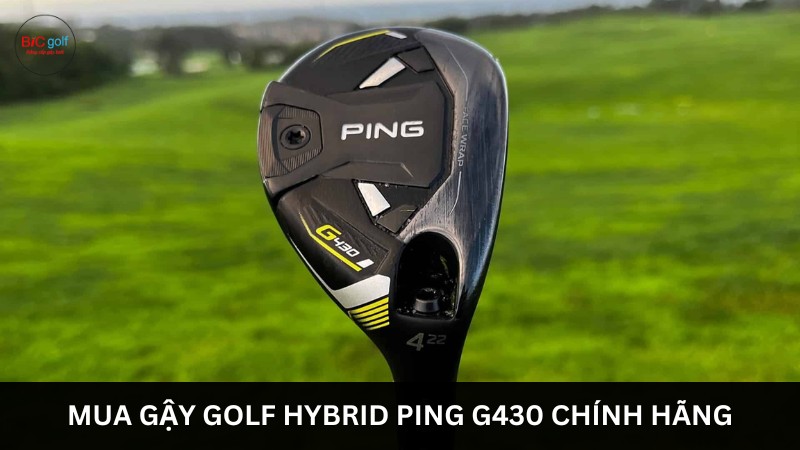 Mua gậy golf Ping G430 Iron chính hãng tại Bic Golf
